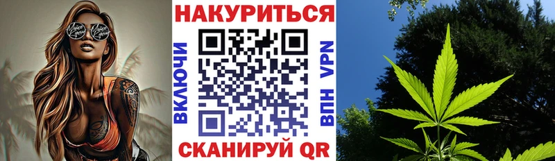 мориарти как зайти  Новая Ладога  Марихуана гибрид 